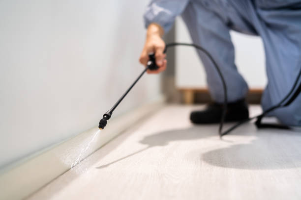 Rodent Entry Point Assessment in Youngsville
