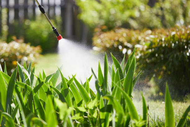 Tamper-Resistant Bait Stations for Rodents in Youngsville