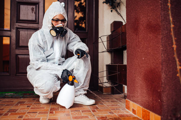 Attic and Crawl Space Rodent Treatment in Youngsville