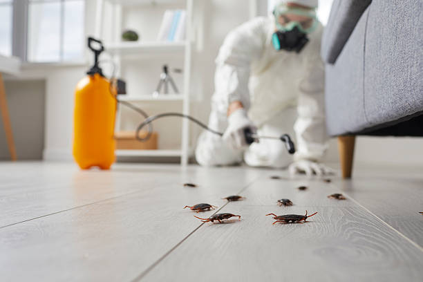 Commercial Rodent Management in Youngsville